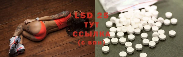 ГАЛЛЮЦИНОГЕННЫЕ ГРИБЫ Верхнеуральск