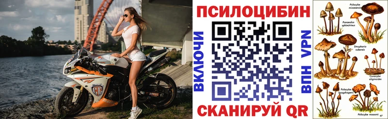 ссылка на мегу ссылки  Всеволожск  Галлюциногенные грибы ЛСД 