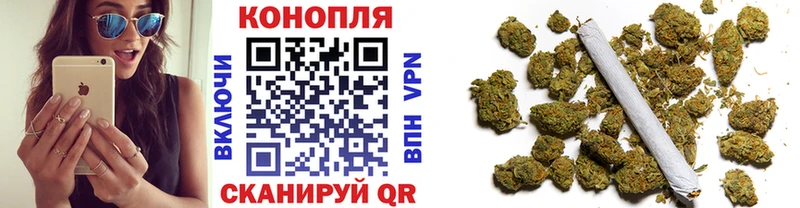 Шишки марихуана сатива  KRAKEN зеркало  Всеволожск  наркота 
